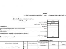 Формы бухгалтерской отчетности
